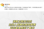 娱乐圈吃瓜壁纸下载免费,一网打尽热门八卦瞬间